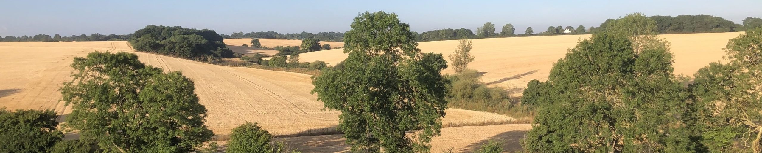 Common or Garden in Suffolk